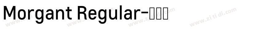 Morgant Regular字体转换
